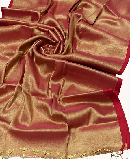 Tissue Cotton Saree with Minimalist Eleg...