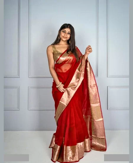 Pure Organza Banarasi Silk Saree with Timeless Grace Red