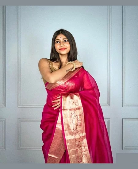 Pure Organza Banarasi Silk Saree with So...