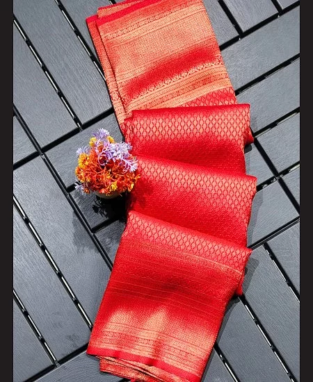 Brocade Silk Bangalore Saree with Traditional Zari Border