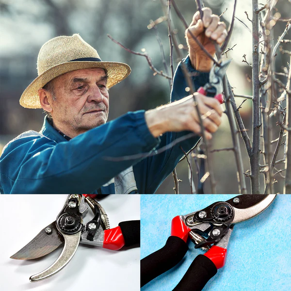 Red Garden Shears Sharp Pruning Scissors...