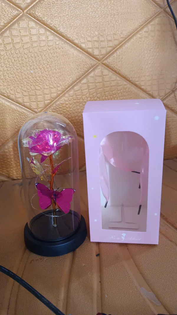 LED Decorative Rose with Butterfly in Plastic Dome