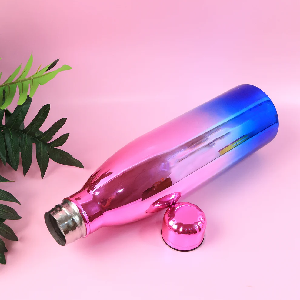 Classic Stainless Steel Water Bottle 1 Litre