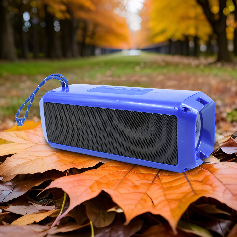 Portable Wireless Rechargeable Speaker B...