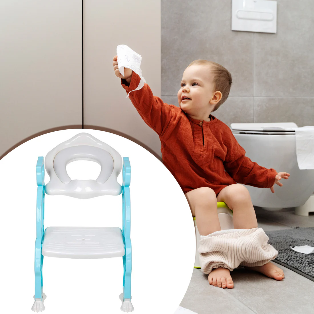 2 in 1 Potty Training Toilet Seat with Step Ladder