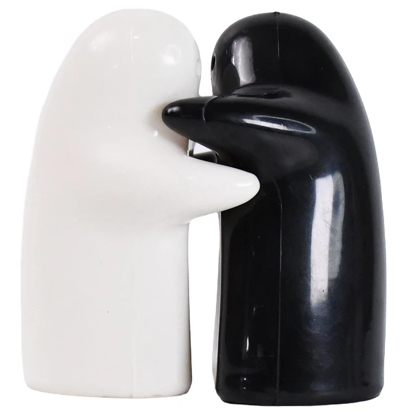 Salt and Pepper Seasoning and Spice Shakers Cute Plastic (2 Pcs Set)