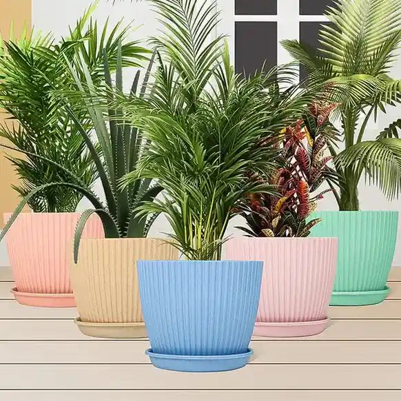 Plastic Flower Pot with Bottom Tray (5 P...