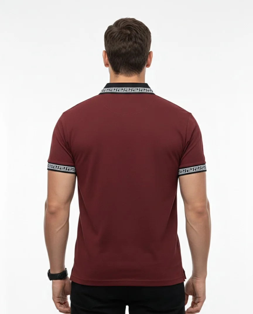 Polo T-Shirt with Contrast Collar | Premium Slim Fit Casual Polo Tee for Men