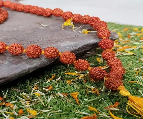 5 Mukhi Rudraksha Mala (Big Beads) | Original Rudraksha Prayer Mala for Meditation, Japa, Yoga & Spiritual Wear