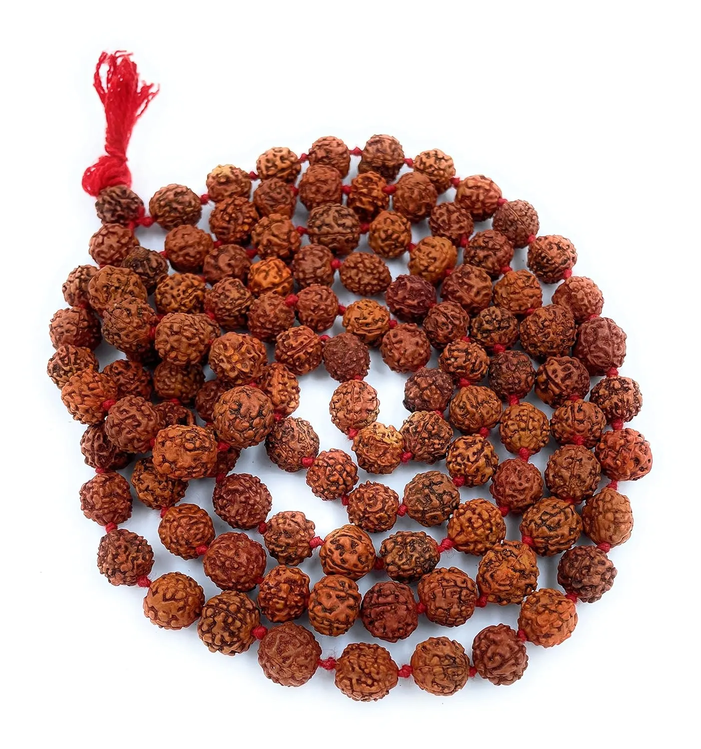 Original 5 Mukhi Rudraksha Mala (Small B...