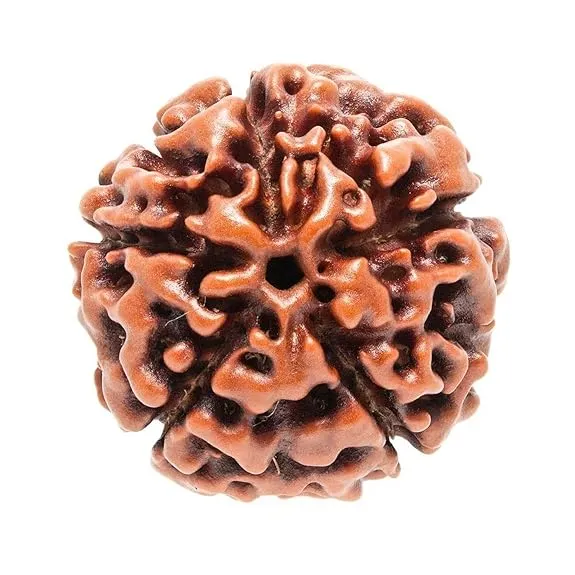 Original Single Panchmukhi Rudraksha Bea...