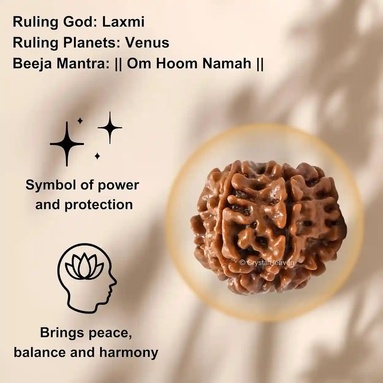 Natural 7 Mukhi Rudraksha Bead for Men & Women