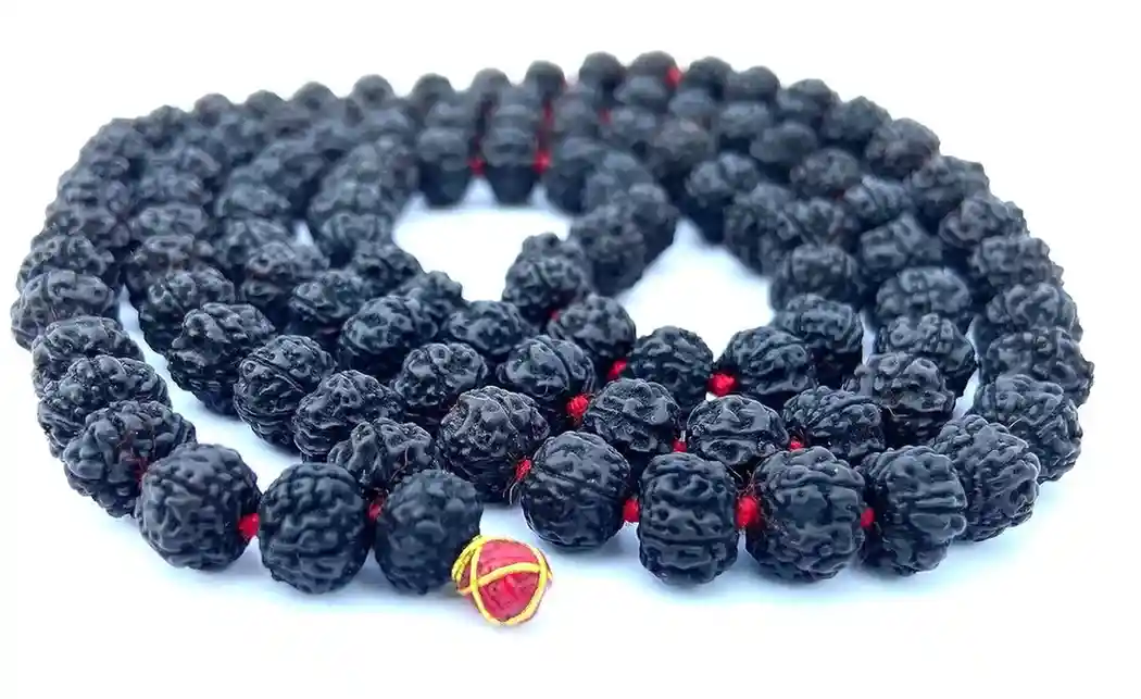 Premium Black 5 Mukhi Rudraksha Mala | S...