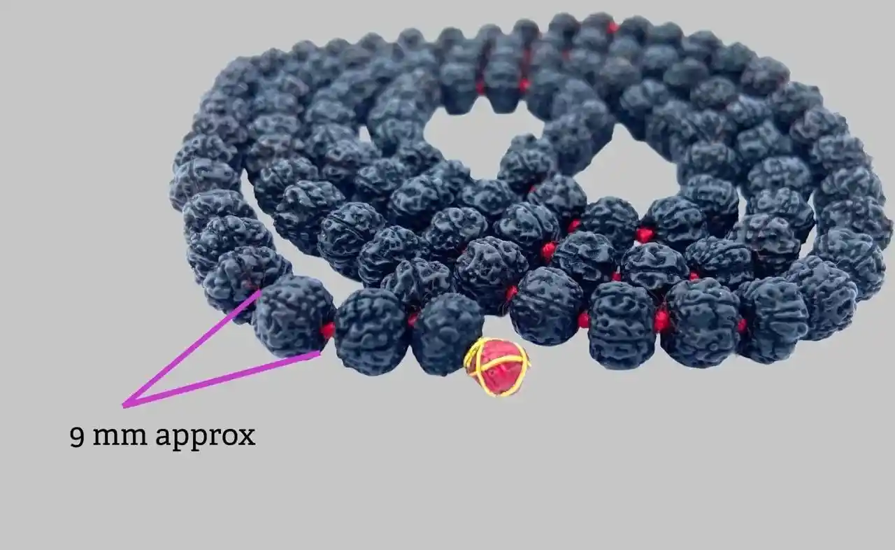 Premium Black 5 Mukhi Rudraksha Mala | Spiritual Jewelry