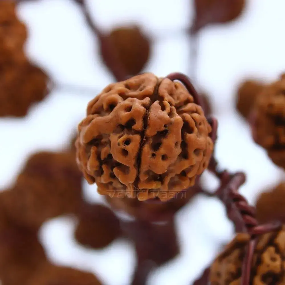 Handmade Rudraksha Tree | Spiritual Decorative Showpiece
