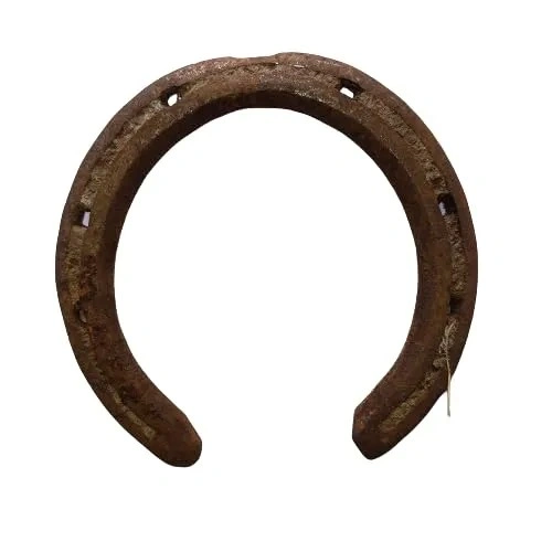 Natural Horse Shoe | Ghode Ki Naal for V...
