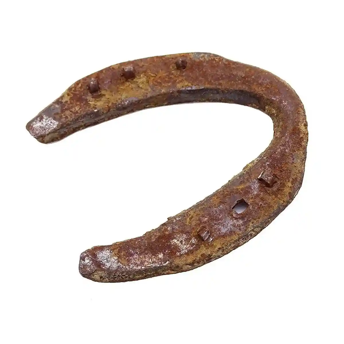 Natural Horse Shoe | Ghode Ki Naal for Vastu & Decor
