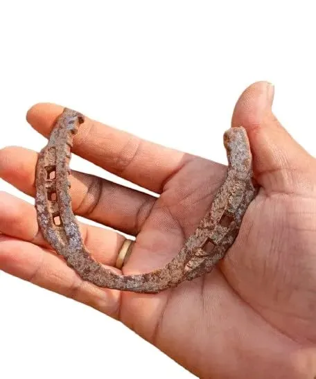 Natural Horse Shoe | Ghode Ki Naal for Vastu & Decor