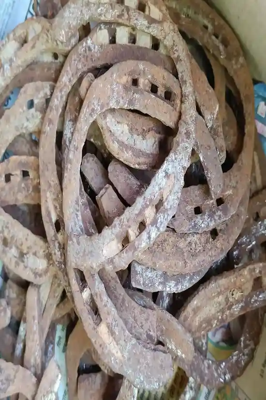 Natural Horse Shoe | Ghode Ki Naal for Vastu & Decor