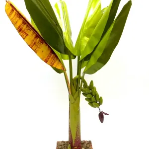 Artificial Banana Tree for Pooja Metal Banana Trees Decoration Set
