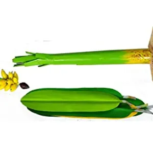 Artificial Banana Tree for Pooja Metal Banana Trees Decoration 16 Ft Pair
