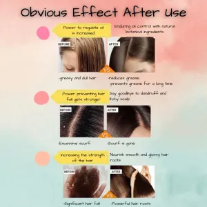 Herbal ginger hair dye and growth shampoo with instant coverage