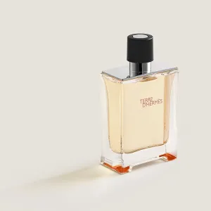 Hermes Terre d Hermes EDT men iconic woody mineral fragrance
