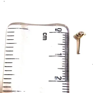 Elegant Nose Ring – Nug Design