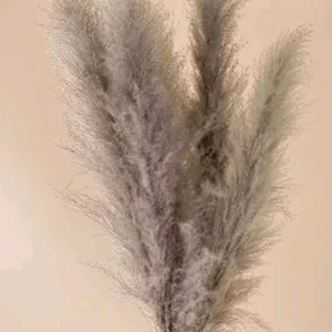 Natural Dry Flowers Set of 10 Sticks Hom...