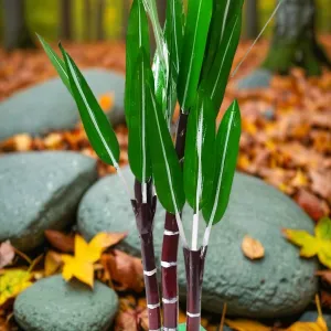 Artificial Sugar Cane Tree 2 Ft Handicra...