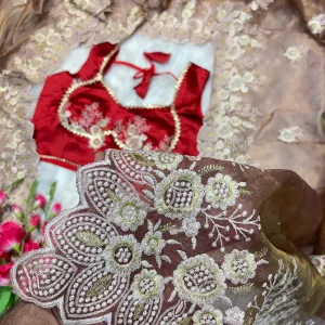 Elegant Beige Organza Silk Saree for Women