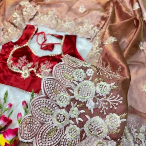 Elegant Peach Organza Silk Saree for Women