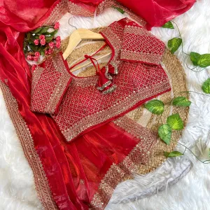 Trendy Jimmi Choo Red Saree Heavy Embroidery for Women
