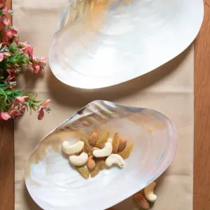 Handcrafted Mother of Pearl Sea Shell De...