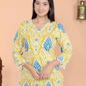 Geometric Printed Straight  Kurti