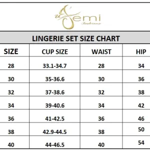 Bridal Lace Bra Panty Lingerie Set for Women Stylish Wear