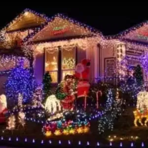 15 Meter Multicolor Rice Light With 7 Color Modes