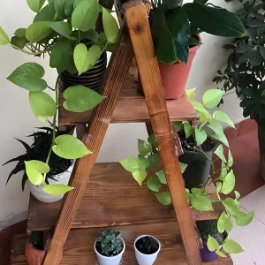 WoodRon Brand - Multipurpose 3-Tier Foldable Classy Pinewood 3-feet Ladder Shelf | Plant Stand | Indoor Flower Pot Stand | Bookcase Storage Rack | Display Shelf For Home Decor, Tiered Shelf