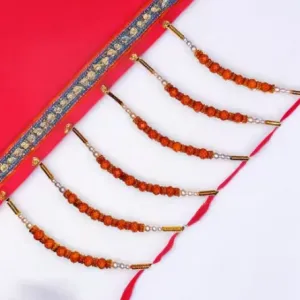 LIGHT 12 pice combo rakhi Golden Brown Rudraksh Rakhi beautiful rakhi with roli and chawal Bhaiya bhabi rakhi bhai, bro, brother Pack of 12