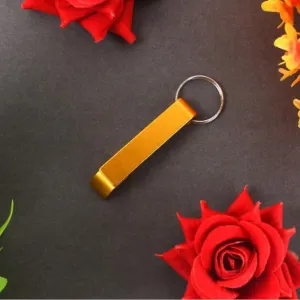 Premium Metal Keychain - Stainless Steel Key Ring