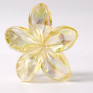 Hair Clamp Grip, Simple Matte Hair Barrette Clamp Charming Decoration Hair Fixation Decorative for Face Washing, Hair accessories