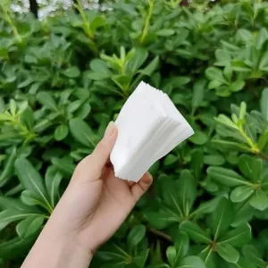 Cotton Makeup Remover Pads for Women Gir...