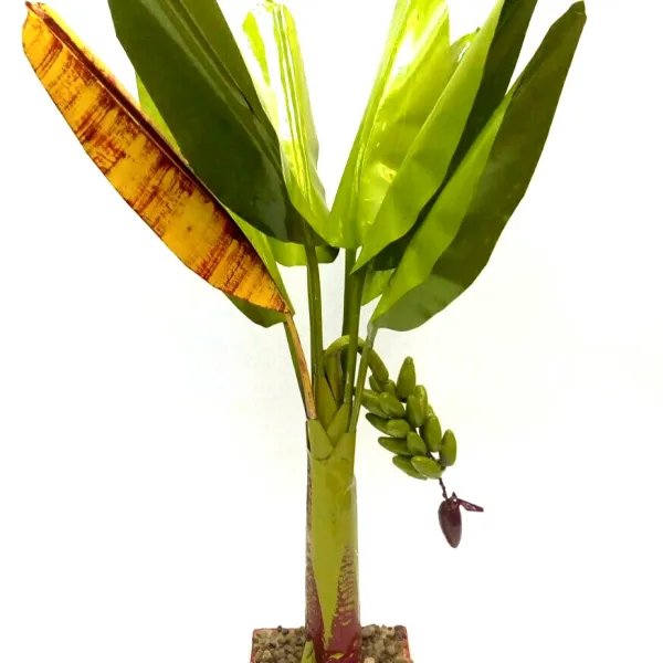 Artificial Banana Tree for Pooja Metal Banana Trees Decoration Set