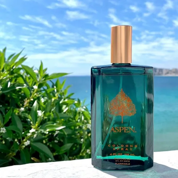 Aspen by Coty men cologne fresh green woody everyday fragrance