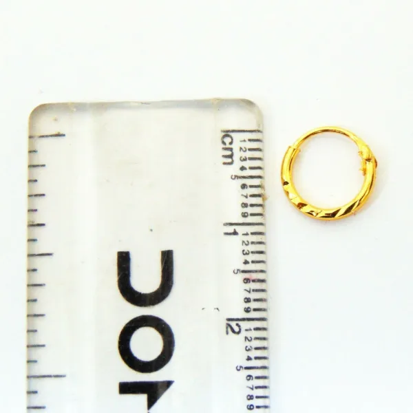 Brass Nose Ring with Lock – Pack of 1