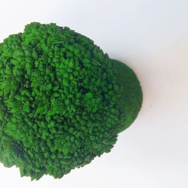 Simonart Artificial Decorative Tree for Home Decor