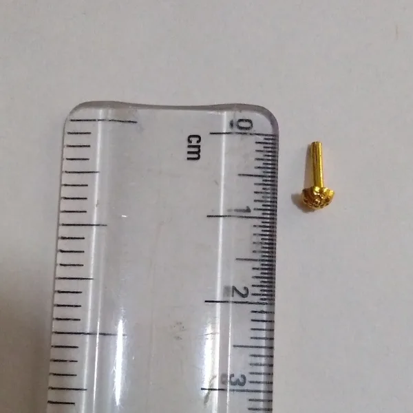 Brass Nose Pin – Traditional Style