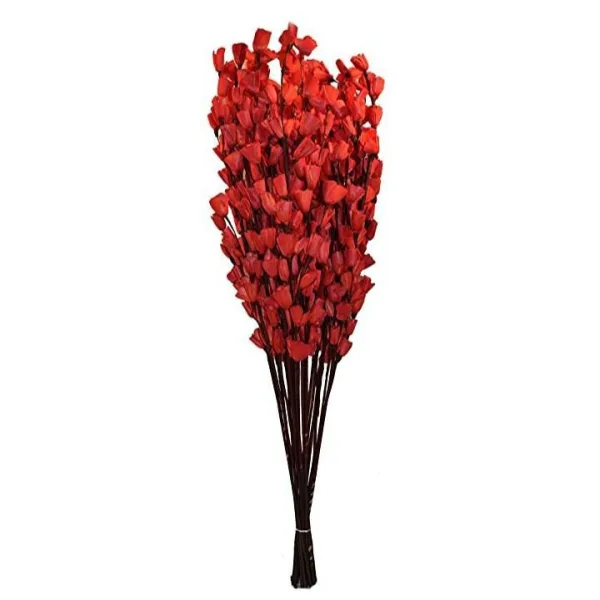 Dry Flowers Decorative Home Decor Collection