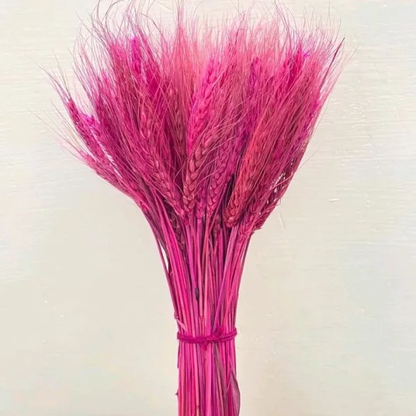 Natural Dry Flowers Set of 100 Sticks Home Decor Accent