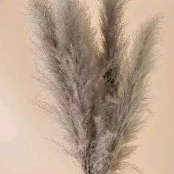 Natural Dry Flowers Set of 10 Sticks Home Decor Accent